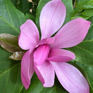 Meet your Posher, Tom